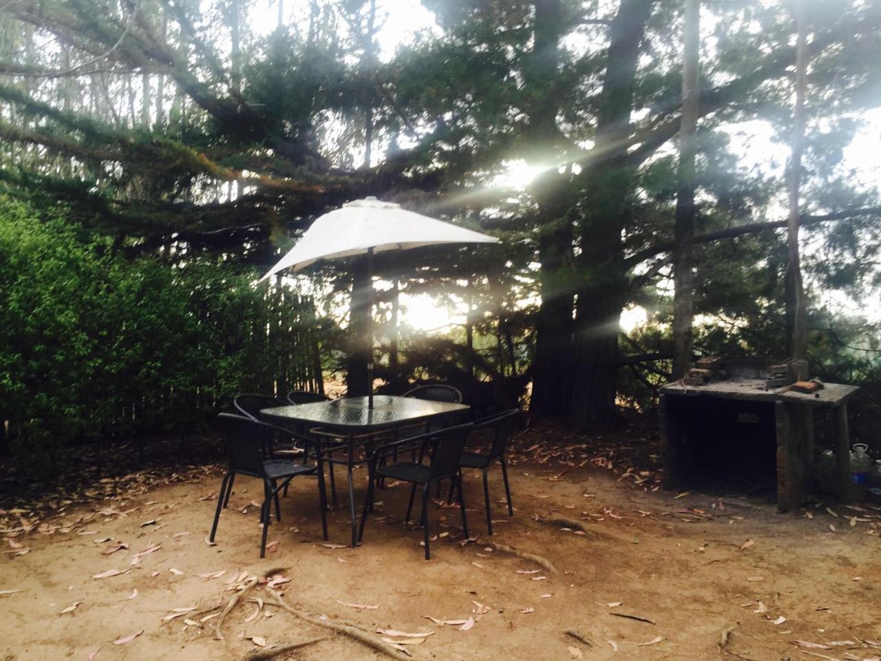 Cabanas La Magia De Isla Negra Exteriér fotografie